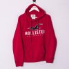 Impalavintage Hollister Hoodie Clearance